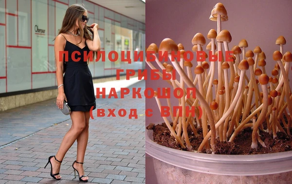 бошки Арсеньев