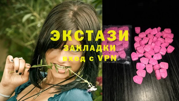 соль ск Пересвет