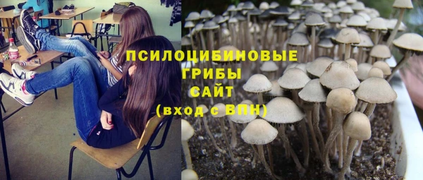 бошки Арсеньев
