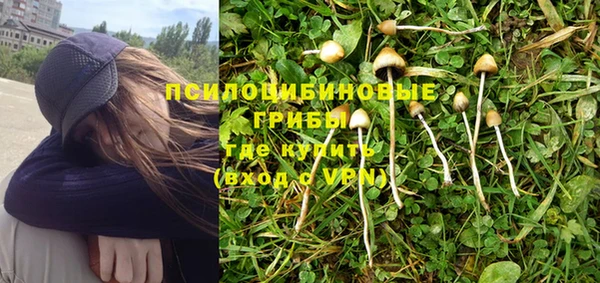 метадон Армянск