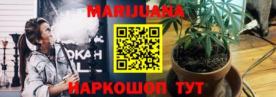 стафф Заволжье