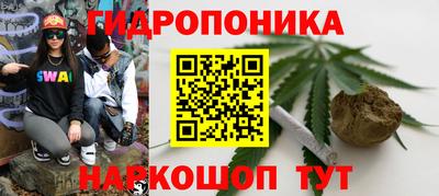 стафф Заволжье