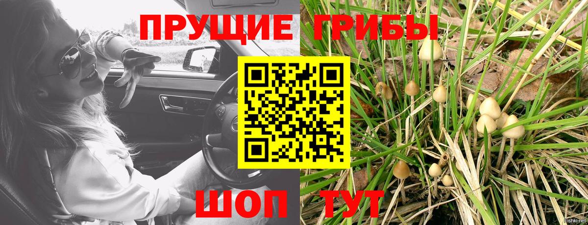 Галлюциногенные грибы MAGIC MUSHROOMS  Вход с VPN  Псилоцибиновые грибы прущие грибы  где купить   Междуреченск 